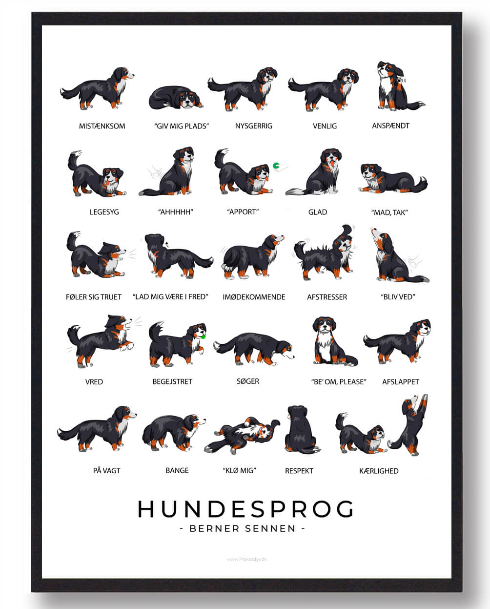 Berner Sennen Hundesprog Plakat  Størrelse:   21x29 7cm  A4
