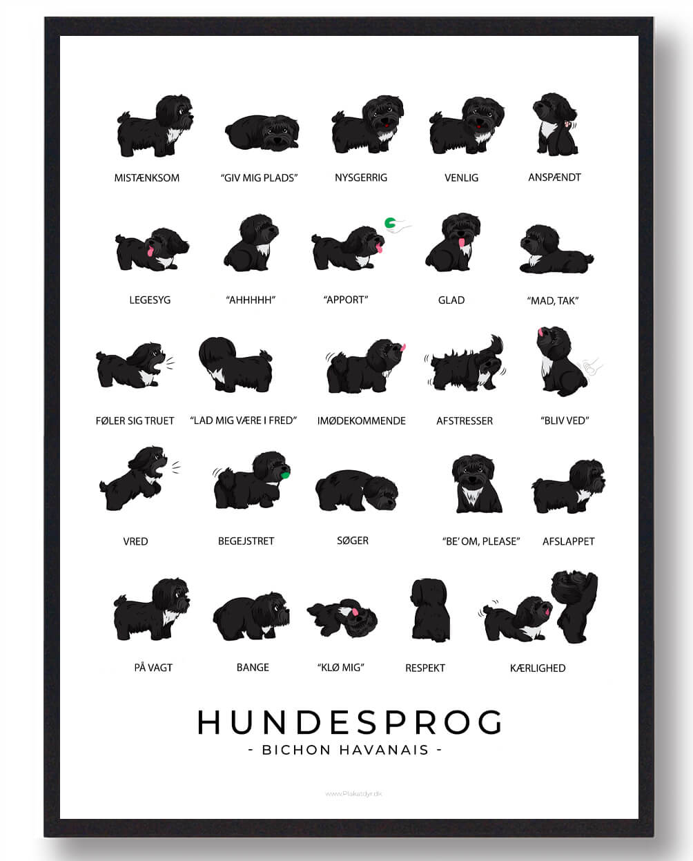 Bichon Havanais Sort Hundesprog Plakat  Størrelse:   21x29 7cm  A4