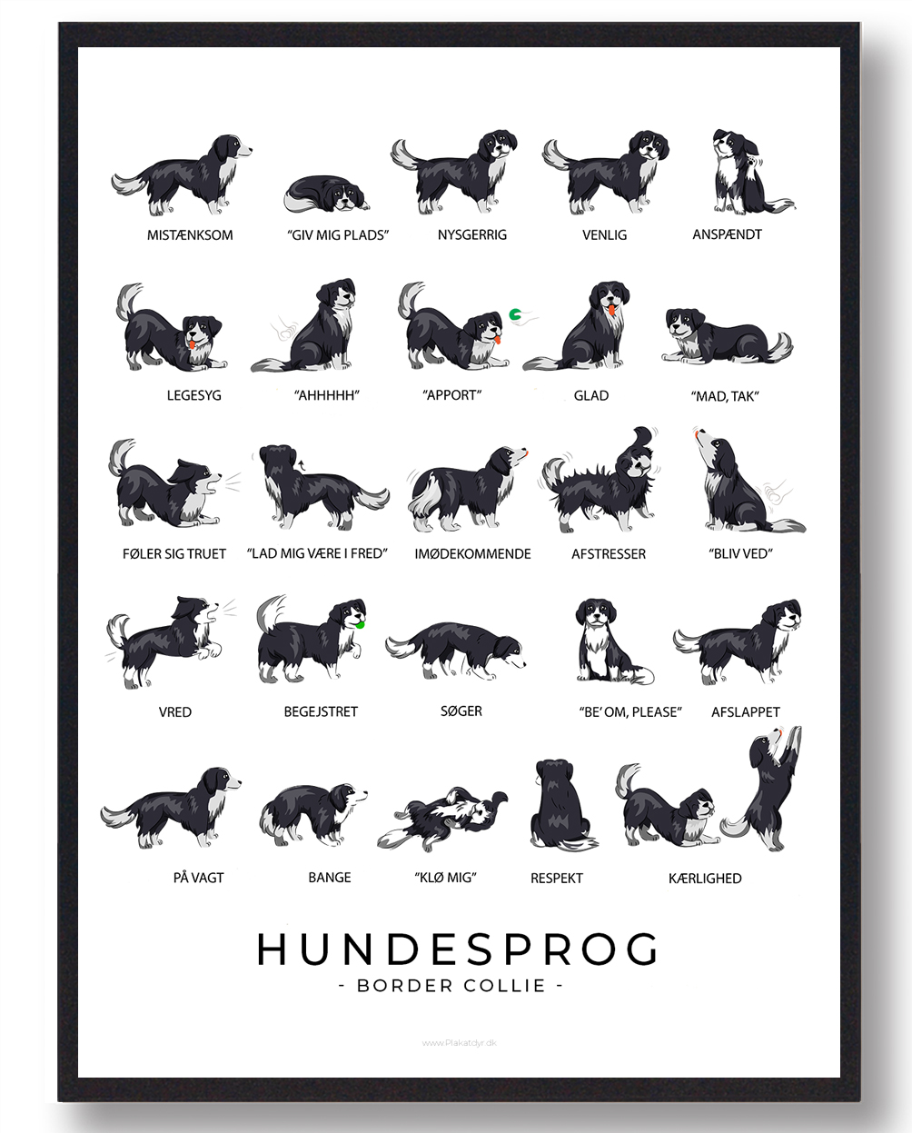 Border Collie Plakat Hundesprog  Størrelse:   21x29 7cm  A4