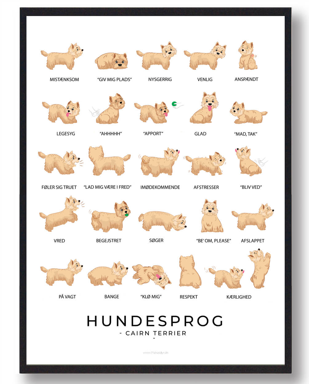 Cairn Terrier Hundesprog Plakat  Størrelse:   21x29 7cm  A4