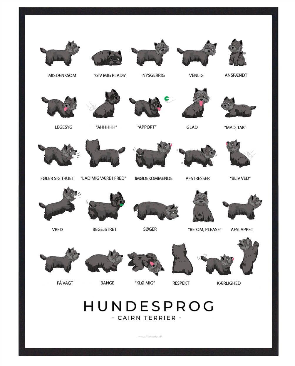 Cairn Terrier Sort Hundesprog Plakat  Størrelse:   21x29 7cm  A4