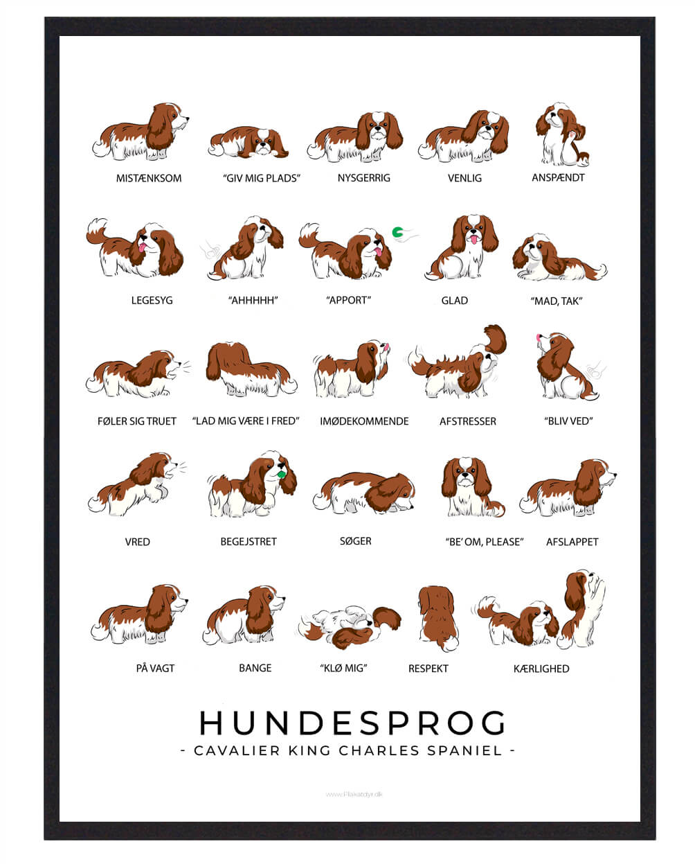 Cavalier King Charles Spaniel Brun Hundesprog Plakat  Størrelse:   21x29 7cm  A4