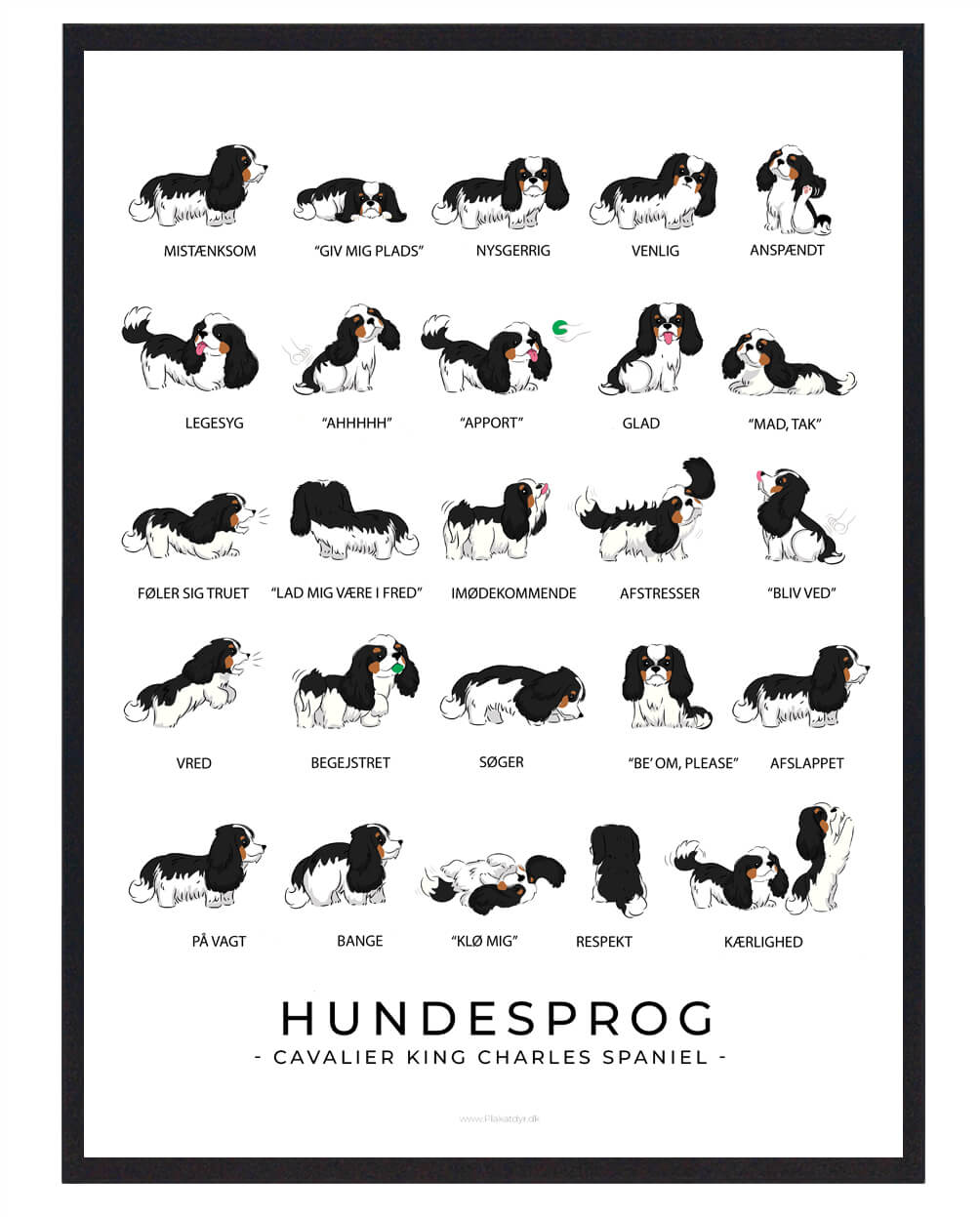 Cavalier King Charles Spaniel Sort Hundesprog Plakat  Størrelse:   21x29 7cm  A4