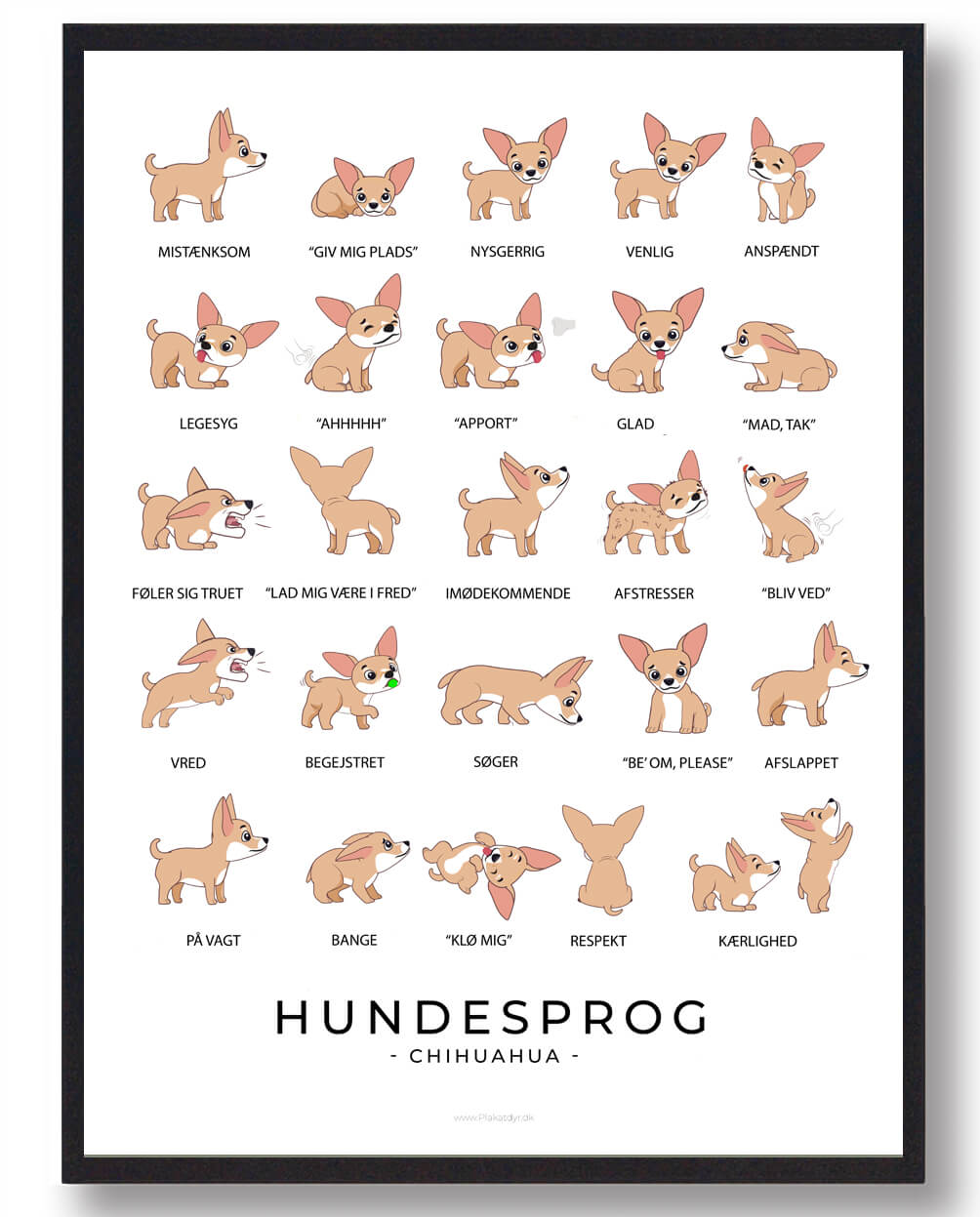 Chihuahua Hundesprog Plakat  Størrelse:   21x29 7cm  A4
