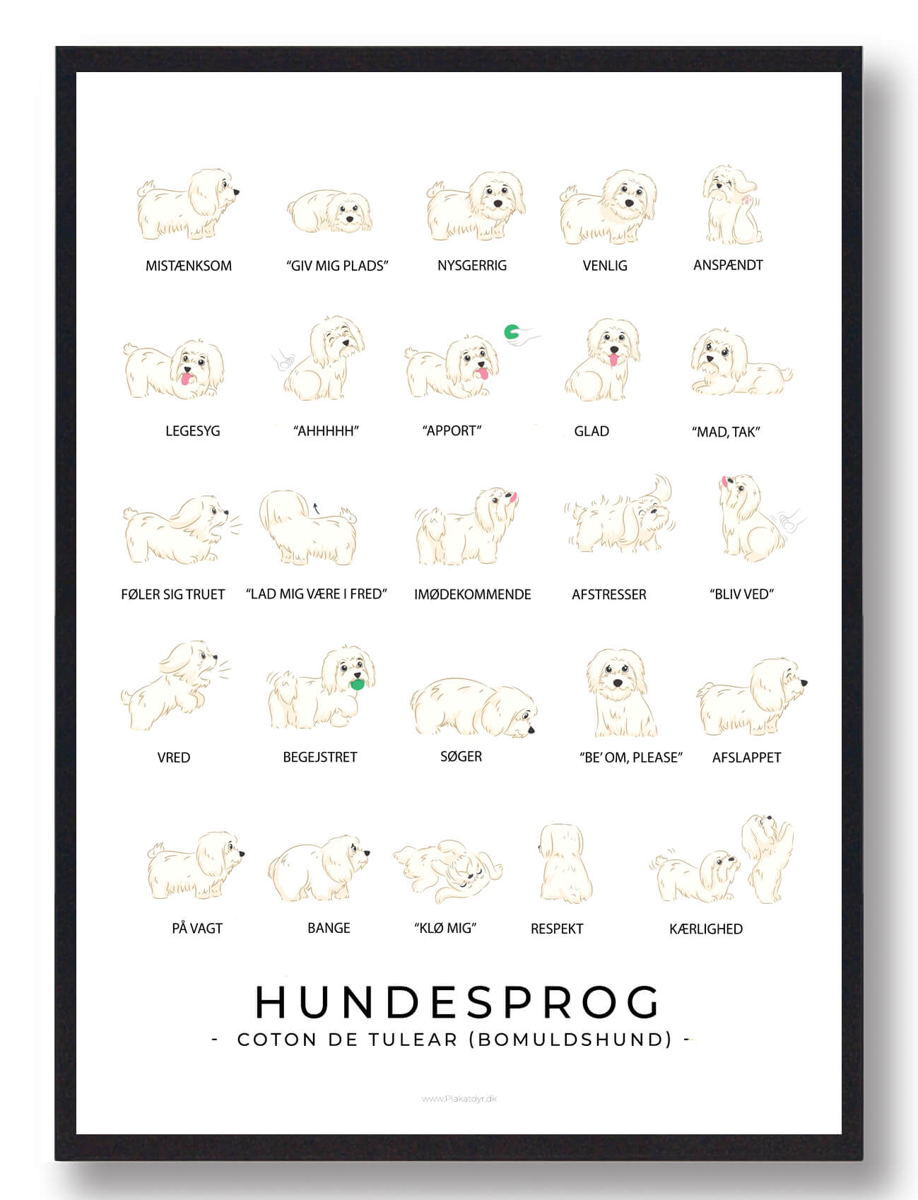 Coton   Tulear Bomuldshund Plakat Hundesprog  Størrelse:   21x29 7cm  A4