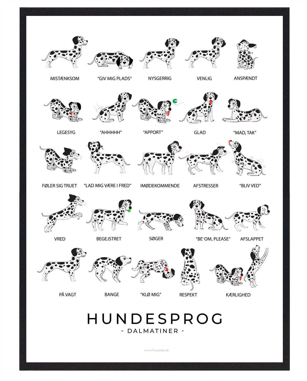 Dalmatiner Hundesprog Plakat  Størrelse:   21x29 7cm  A4