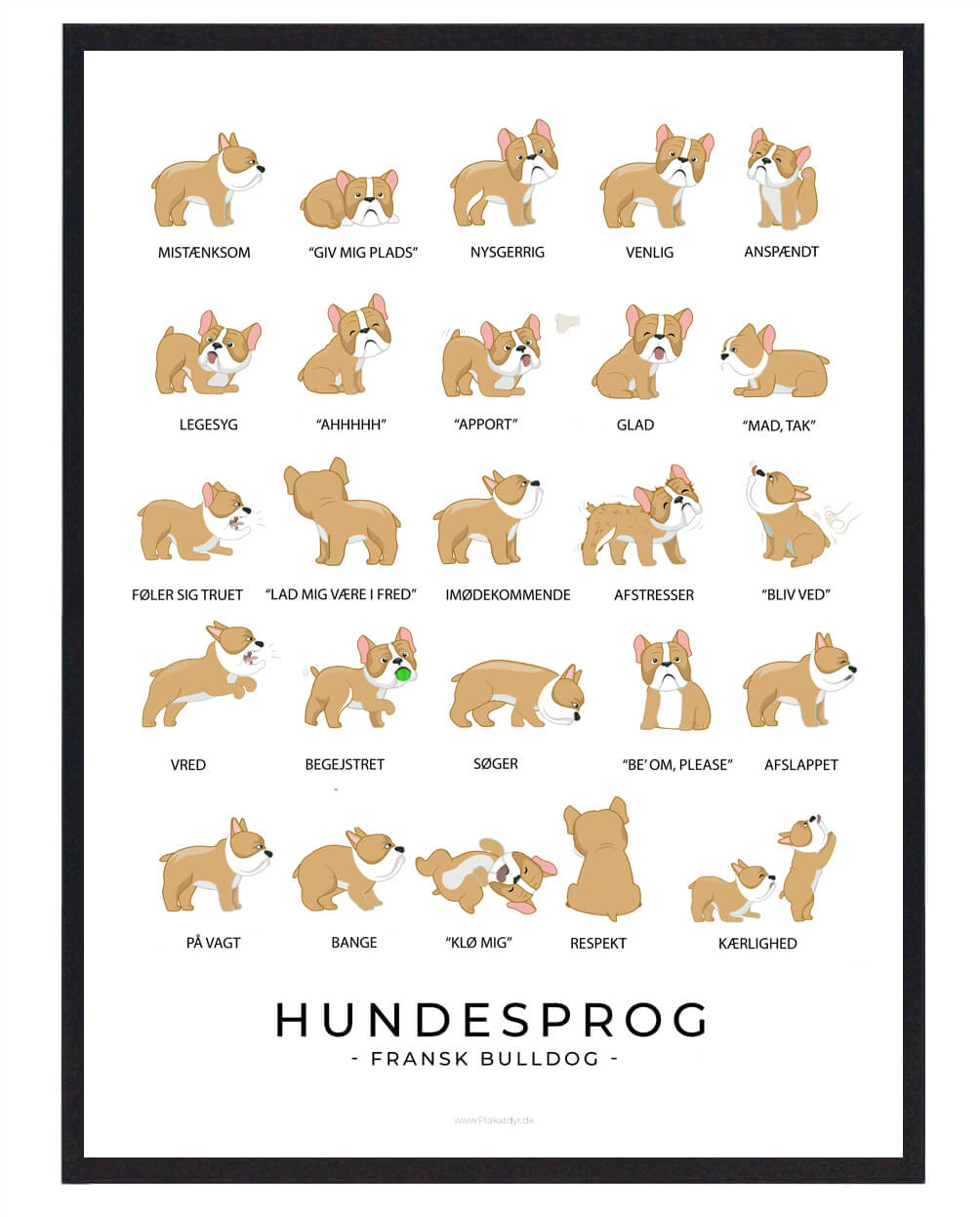 Fransk Bulldog Plakat Hundesprog  Størrelse:   21x29 7cm  A4