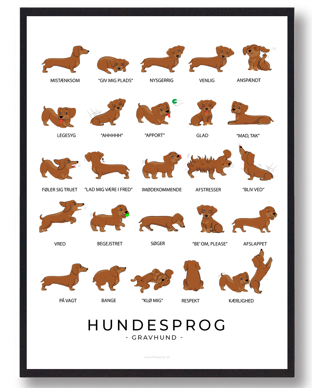 Gravhund Plakat Hundesprog  Størrelse:   21x29 7cm  A4