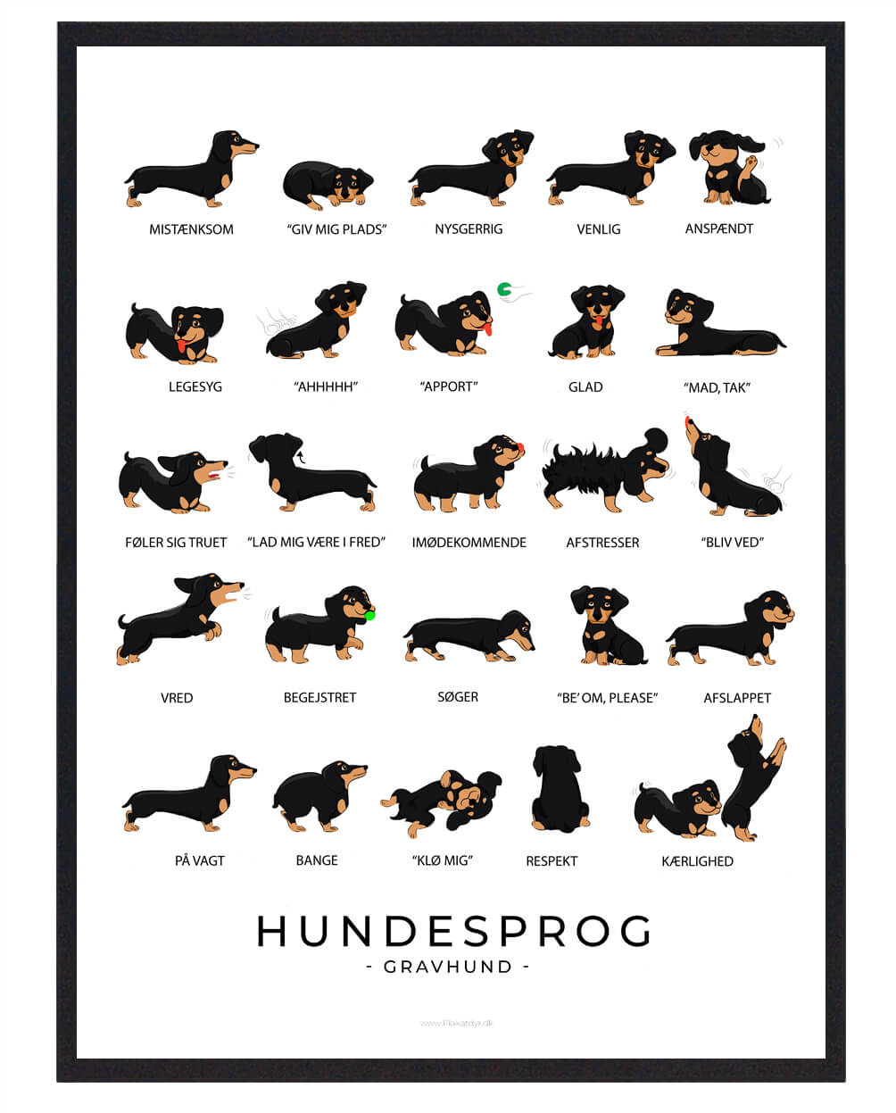 Gravhund Sort Plakat Hundesprog  Størrelse:   21x29 7cm  A4