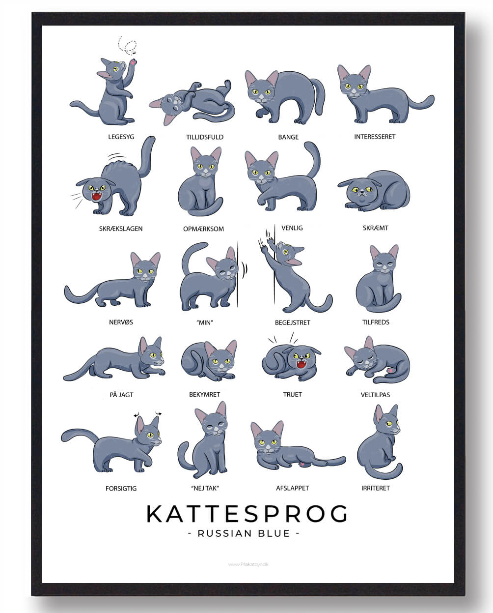 Kattesprog Russian Blue Katte Plakat  Størrelse:   21x29 7cm  A4