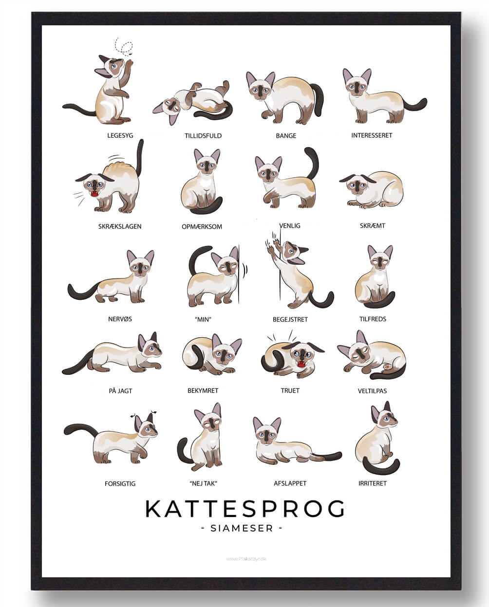 Kattesprog Siameser Katte Plakat  Størrelse:   21x29 7cm  A4