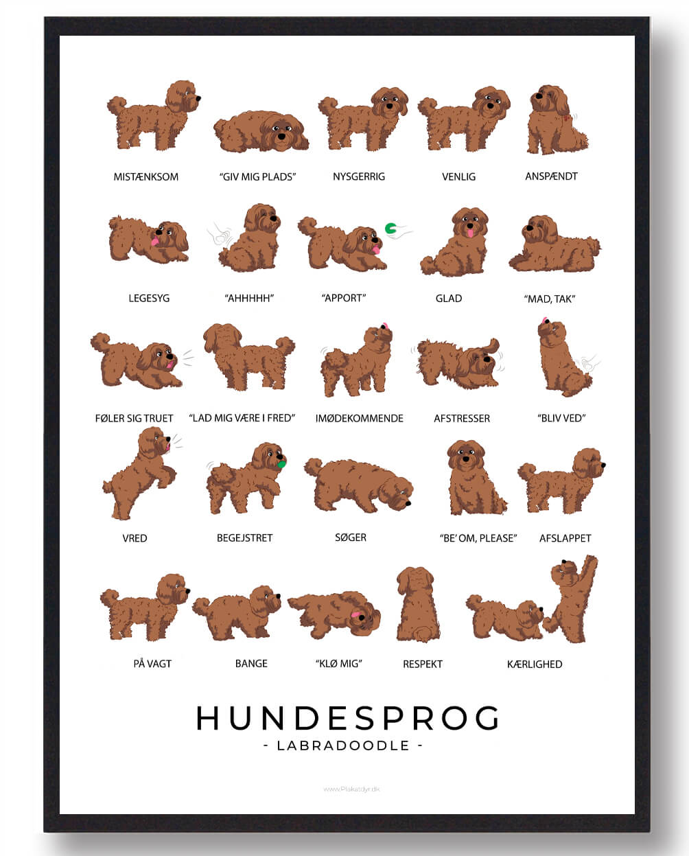 Labradoodle Brun Hundesprog Plakat  Størrelse:   21x29 7cm  A4