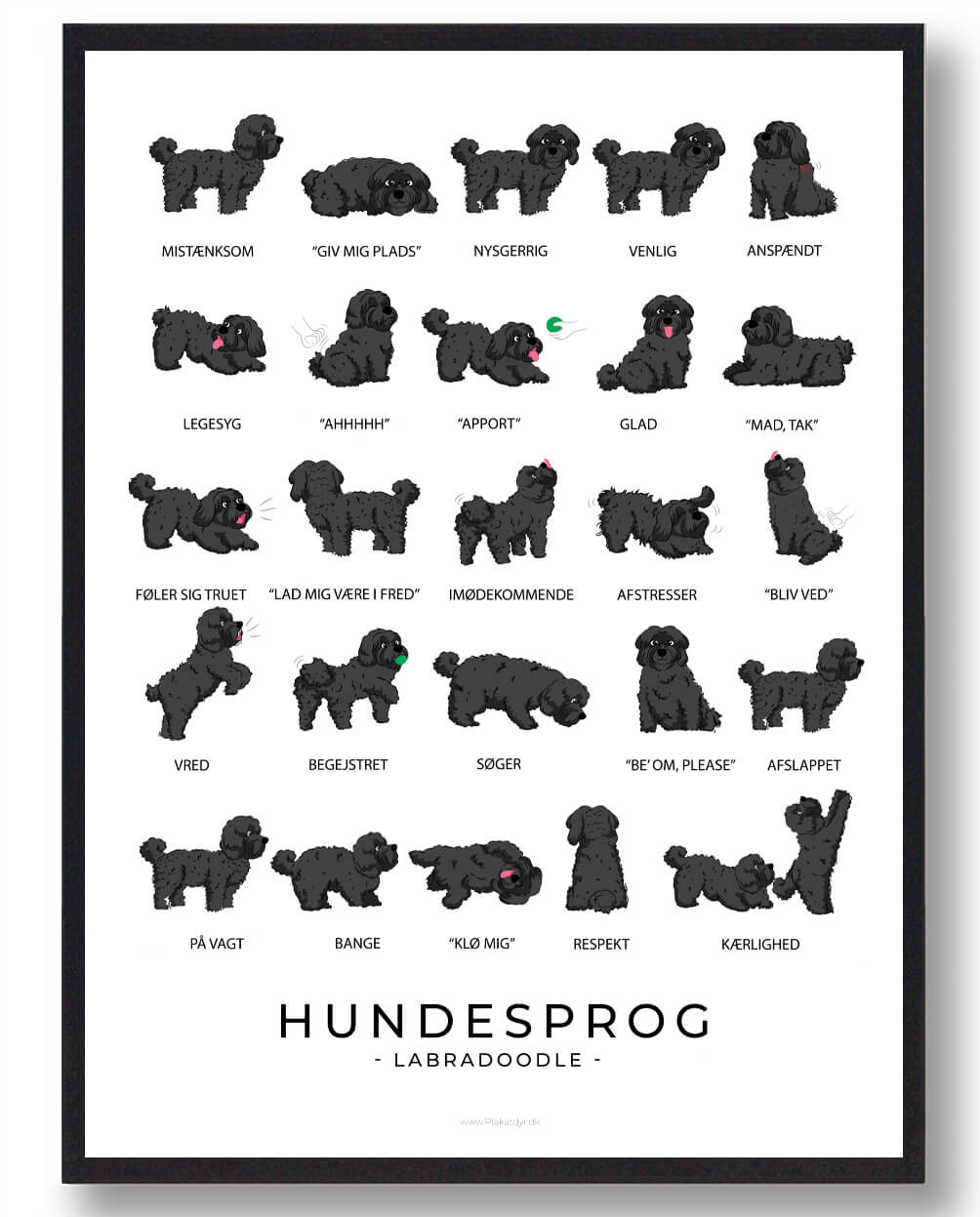 Labradoodle Sort Hundesprog Plakat  Størrelse:   21x29 7cm  A4