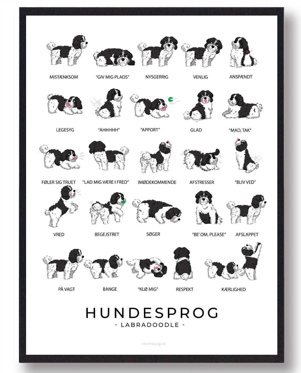Labradoodle Sort Hvid Hundesprog Plakat  Størrelse:   21x29 7cm  A4