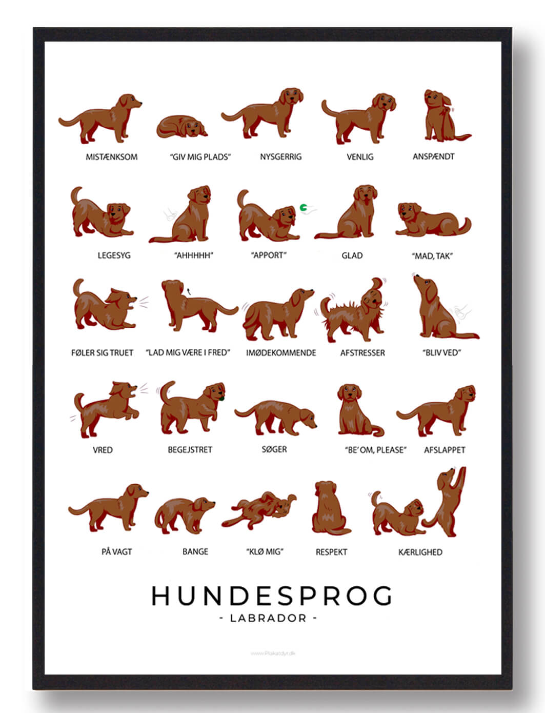 Labrador Brun Hundesprog Plakat  Størrelse:   21x29 7cm  A4