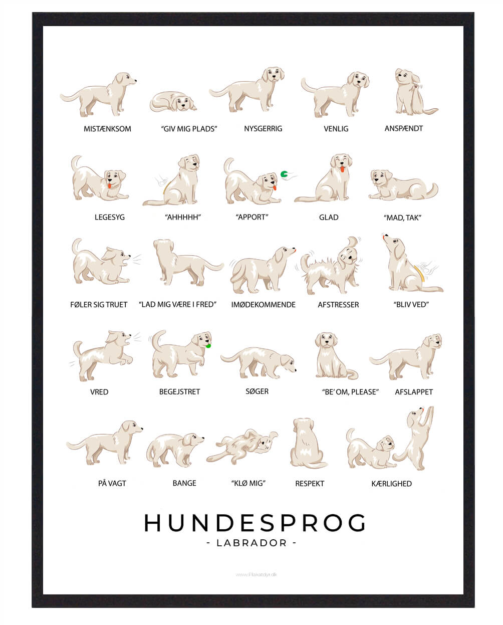 Labrador Hvid Hundesprog Plakat  Størrelse:   21x29 7cm  A4