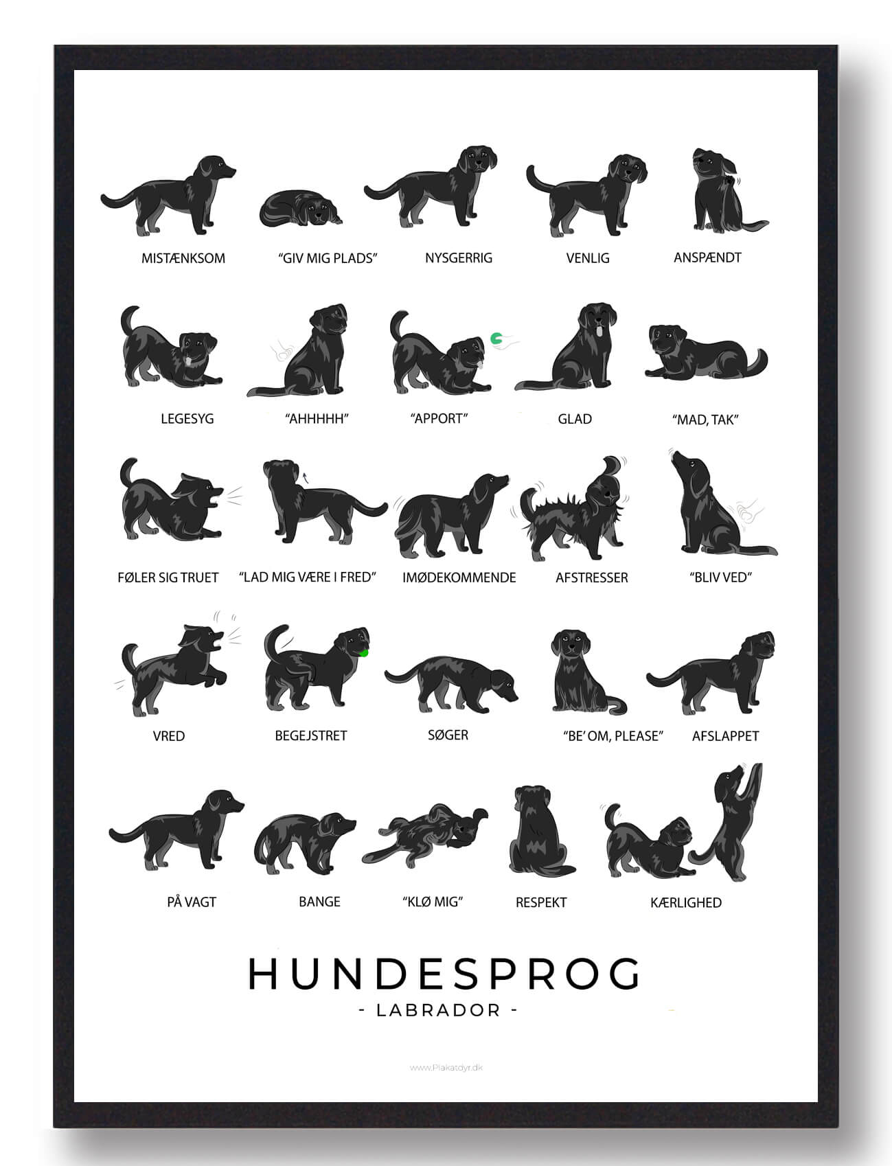 Labrador Sort Hundesprog Plakat  Størrelse:   21x29 7cm  A4