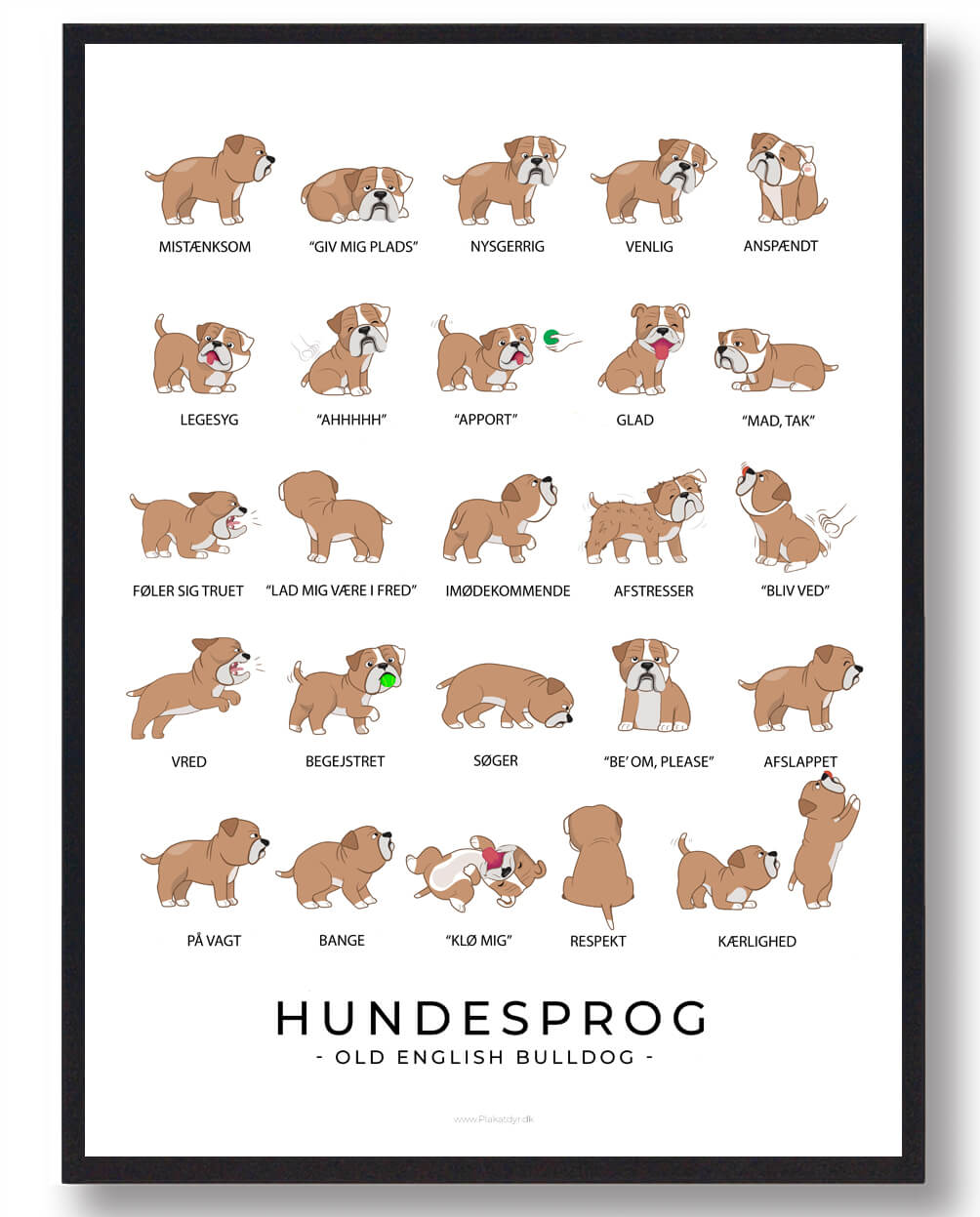Old English Bulldog Hundesprog Plakat  Størrelse:   21x29 7cm  A4
