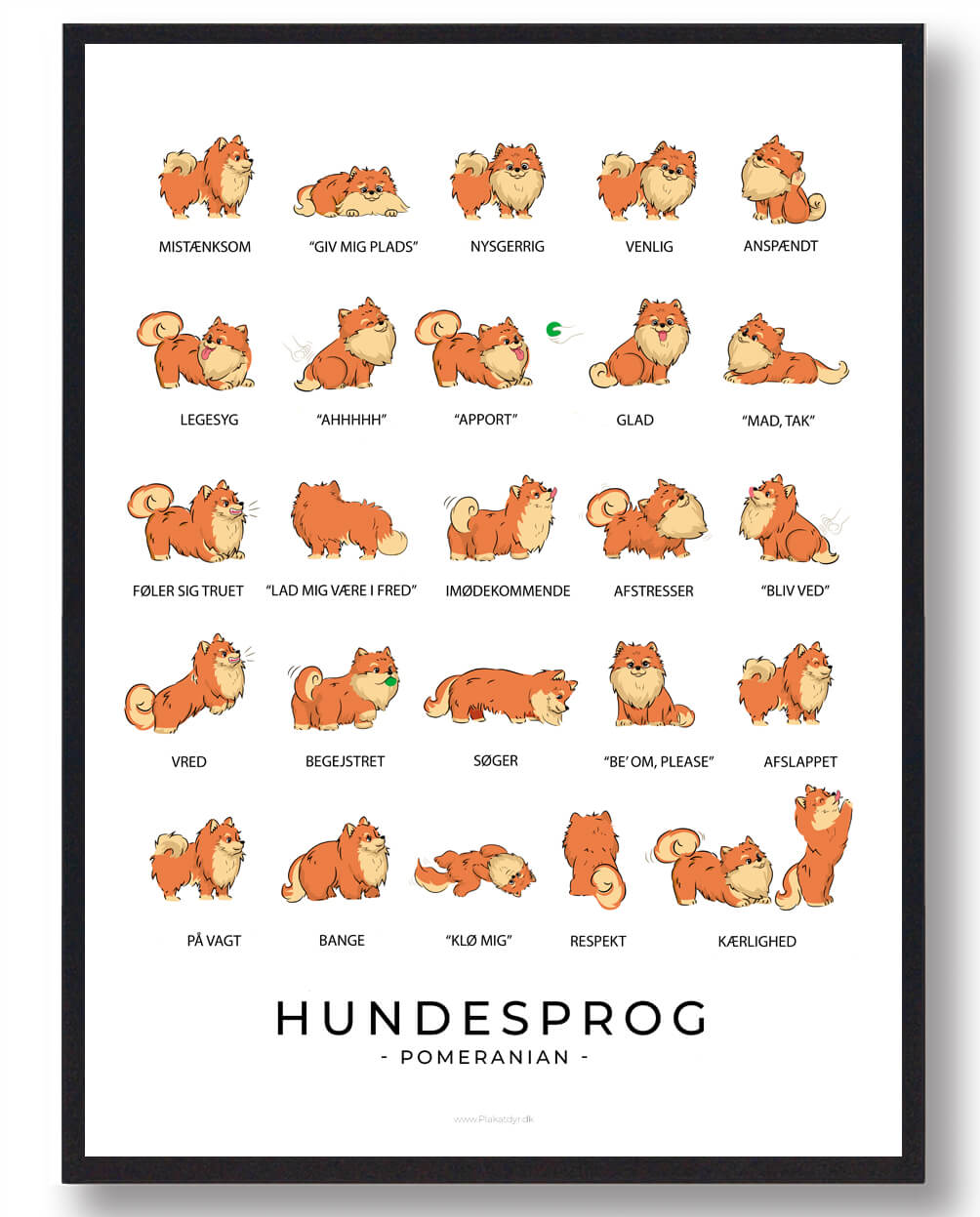 Pomeranian Hundesprog Plakat  Størrelse:   21x29 7cm  A4
