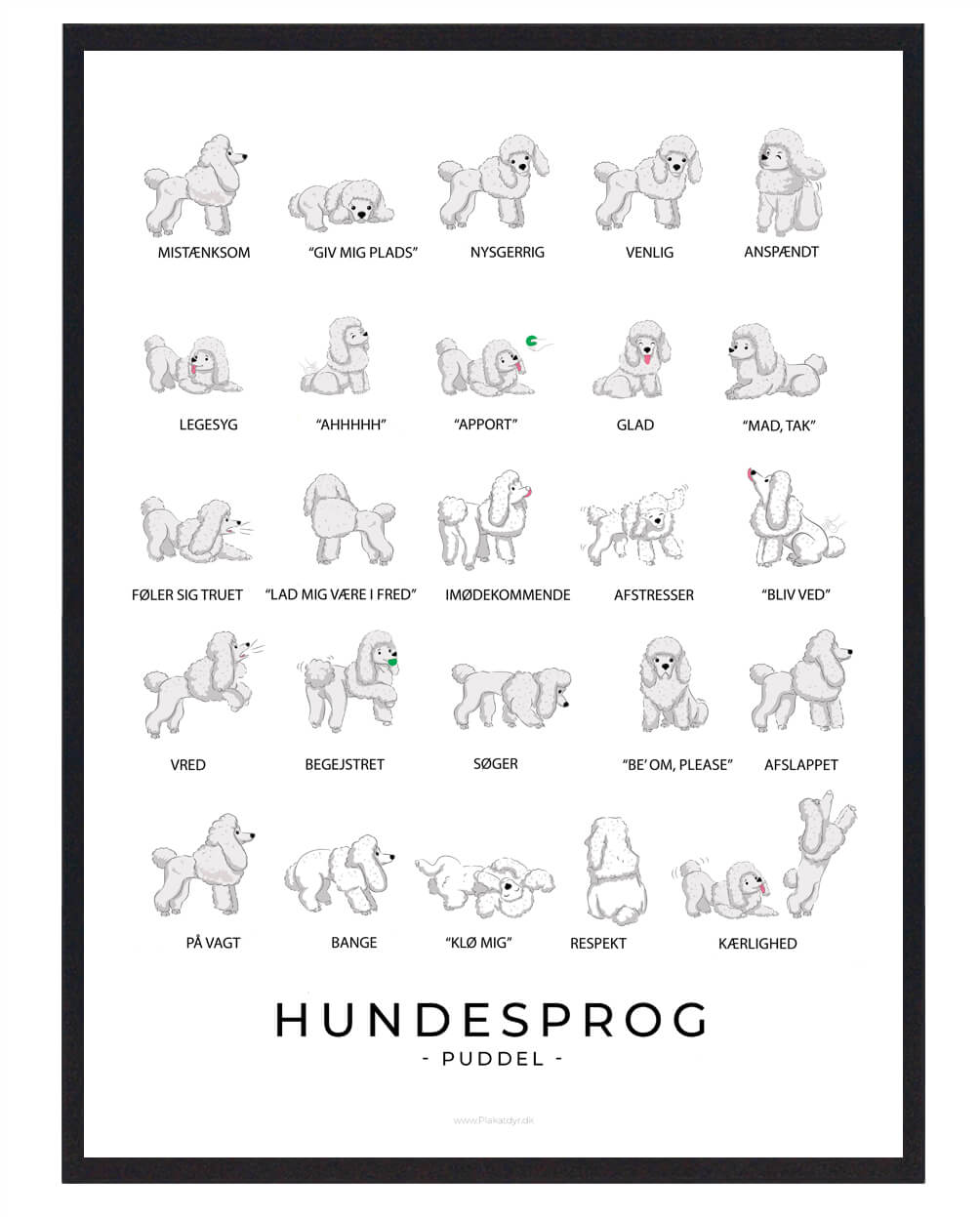 Puddel Plakat Hundesprog  Størrelse:   21x29 7cm  A4