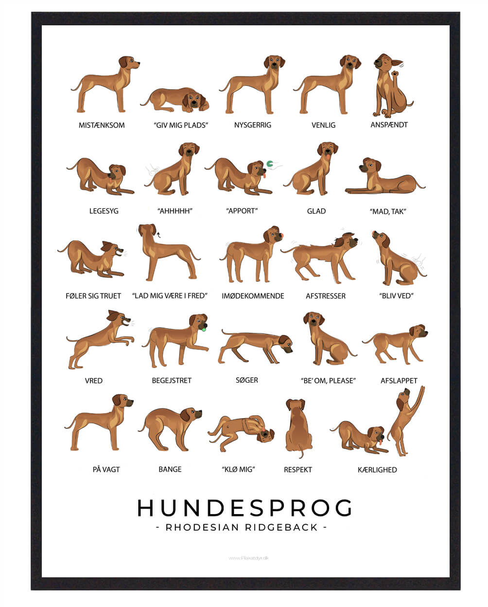 Rhodesian Ridgeback Hundesprog Plakat  Størrelse:   21x29 7cm  A4