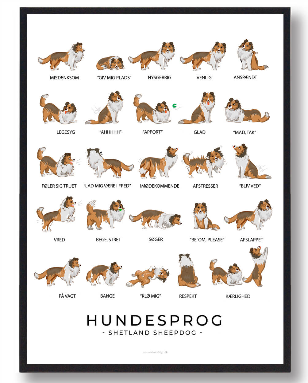 Shetland Sheepdog Hundesprog Plakat  Størrelse:   21x29 7cm  A4