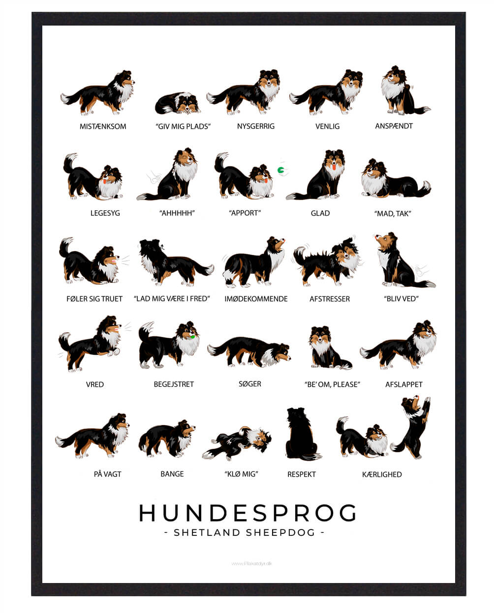Shetland Sheepdog Sort Hundesprog Plakat  Størrelse:   21x29 7cm  A4