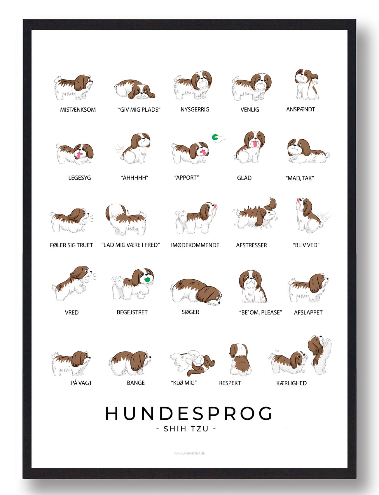 Shih Tzu Plakat Hundesprog  Størrelse:   21x29 7cm  A4