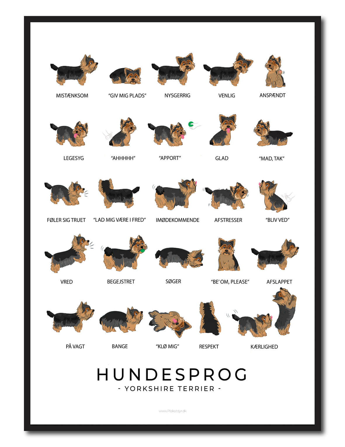 Yorkshire Terrier Hundesprog Plakat  Størrelse:   21x29 7cm  A4